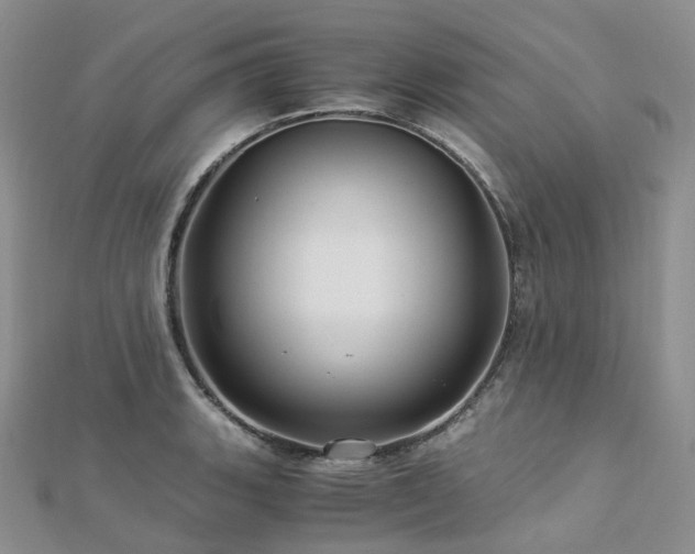 X0000112901135200908211510