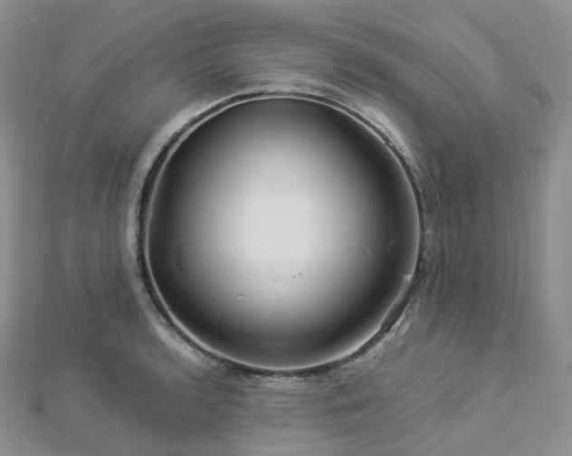 X0000112901136200908211510