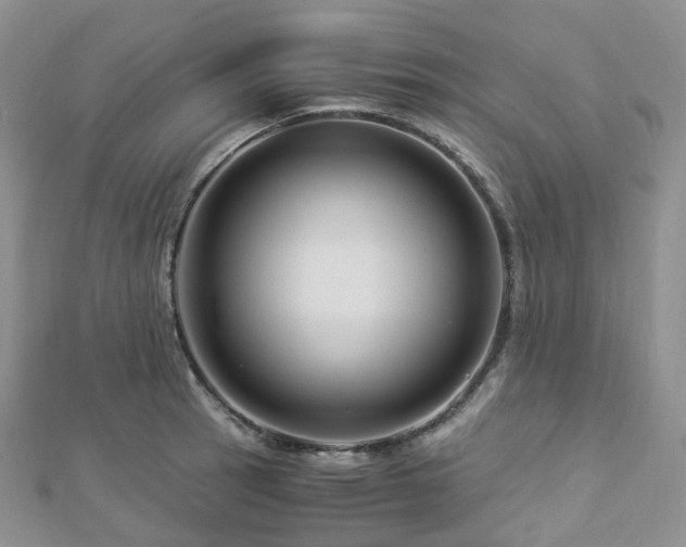 X0000112901137200908211510