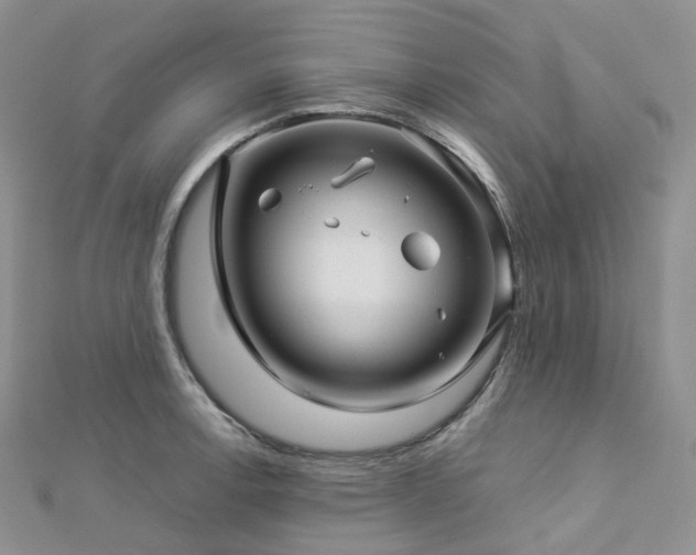X0000112901138200908211510