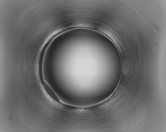 X0000112901139200908211510