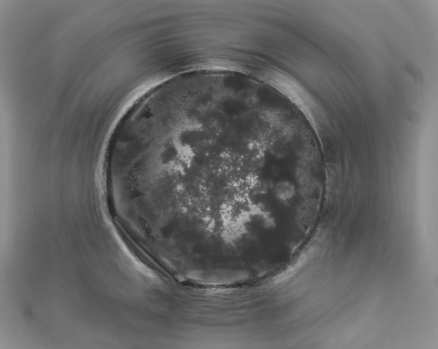 X0000112901141200908211510