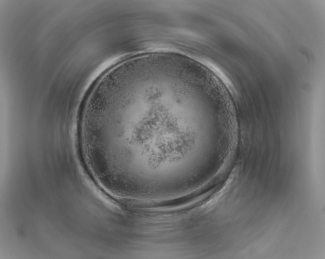 X0000112901142200908211510