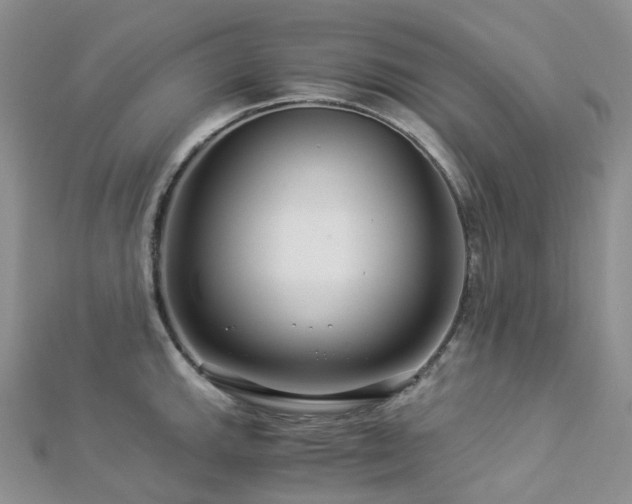 X0000112901143200908211510