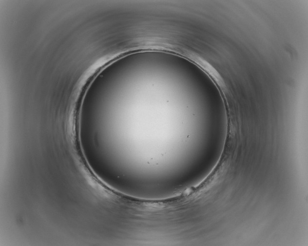 X0000112901144200908211510