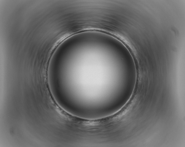 X0000112901145200908211510