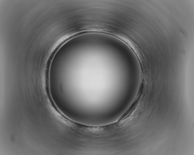 X0000112901147200908211510