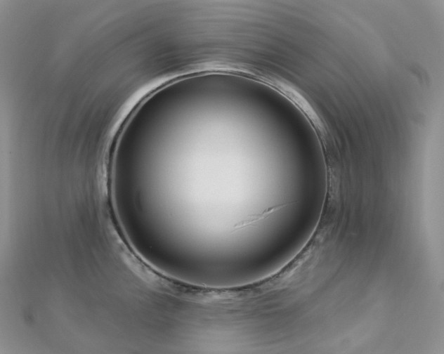 X0000112901148200908211510