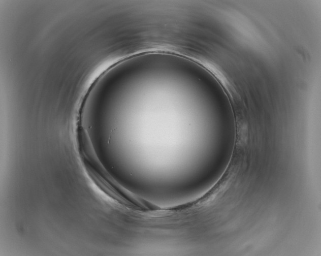 X0000112901151200908211510