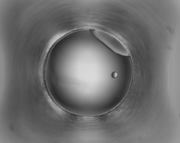 X0000112901152200908211510