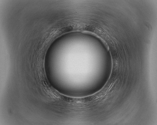 X0000112901153200908211510
