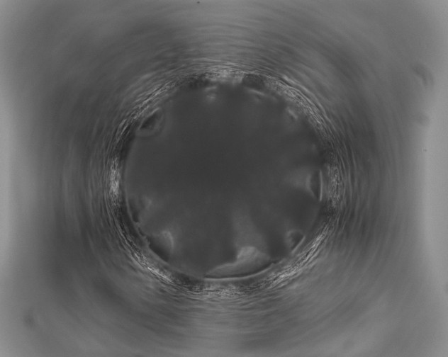 X0000112901154200908211510