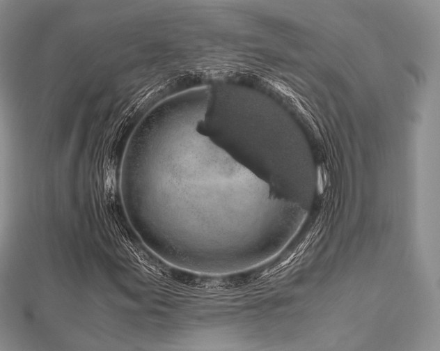 X0000112901155200908211510