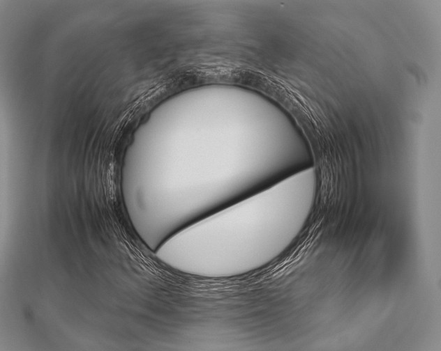 X0000112901156200908211510