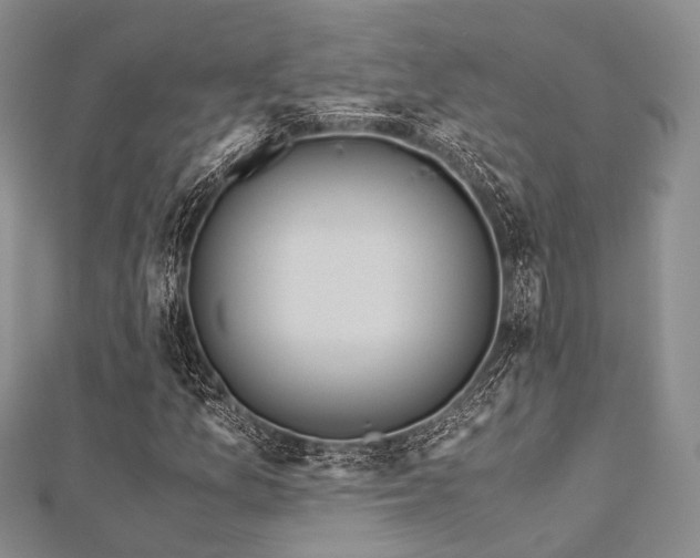 X0000112901157200908211510