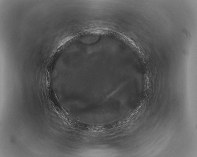 X0000112901158200908211510