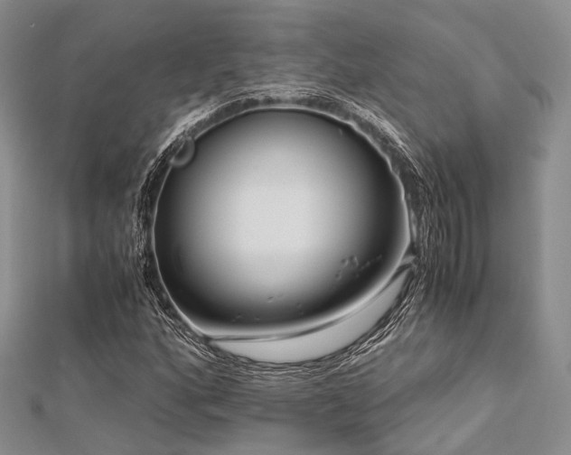 X0000112901160200908211510