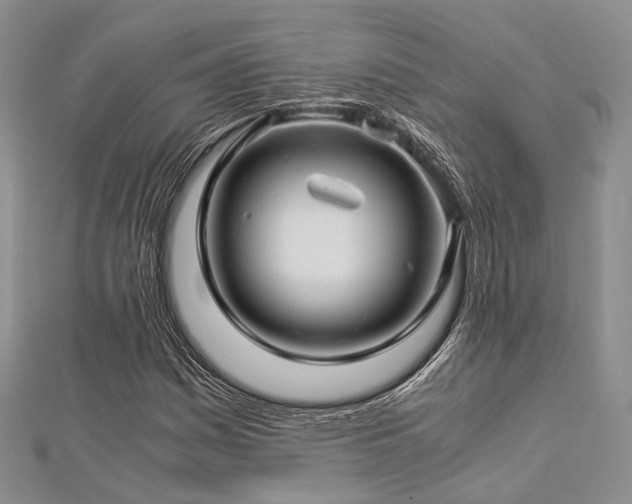 X0000112901161200908211510