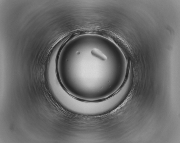 X0000112901162200908211510