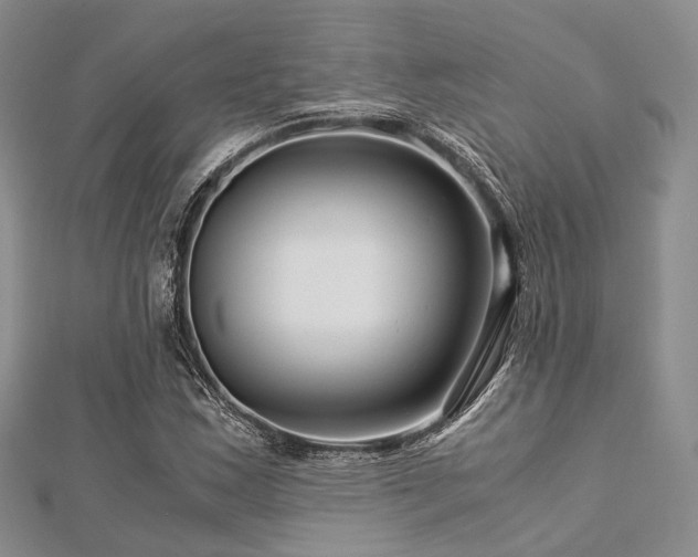 X0000112901163200908211510