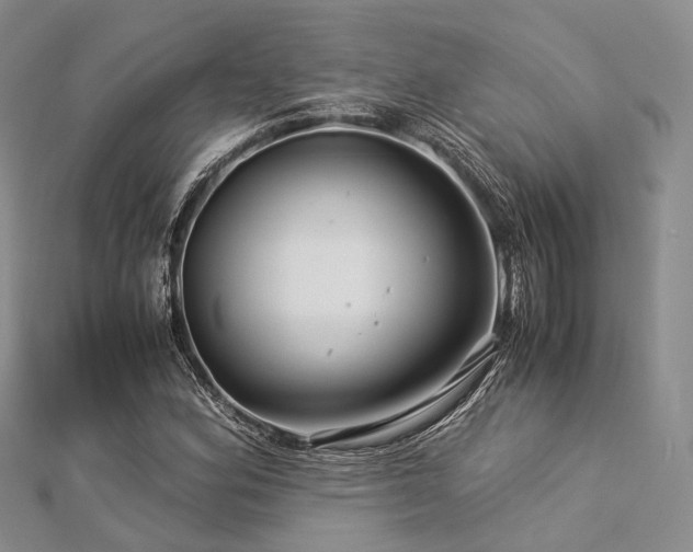 X0000112901164200908211510