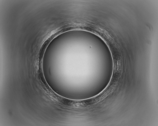 X0000112901165200908211509