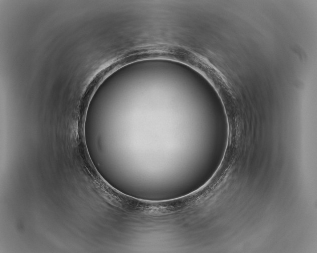 X0000112901166200908211509