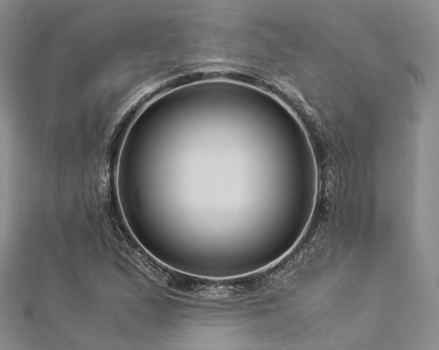 X0000112901167200908211509