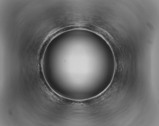 X0000112901168200908211509