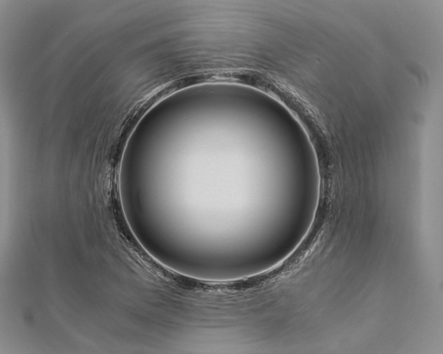 X0000112901169200908211509