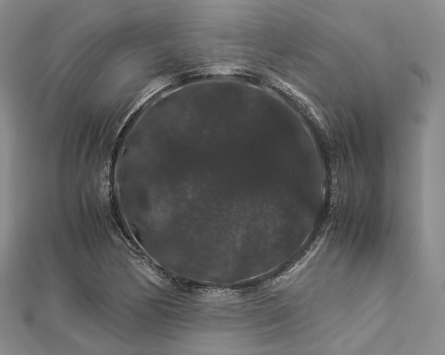 X0000112901170200908211509