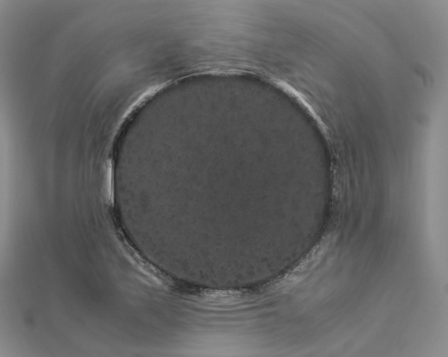 X0000112901171200908211509