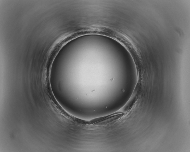 X0000112901172200908211509
