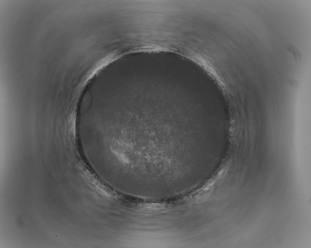 X0000112901173200908211509