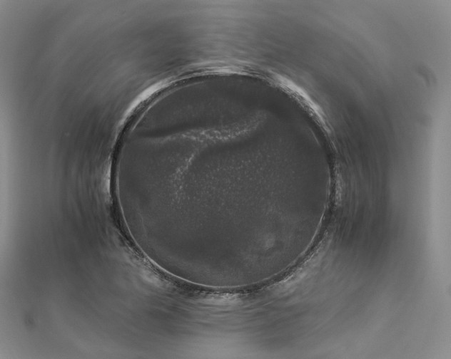 X0000112901174200908211509