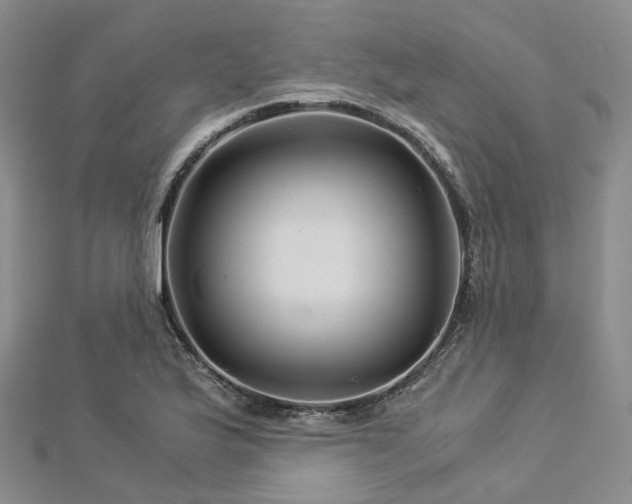 X0000112901175200908211509