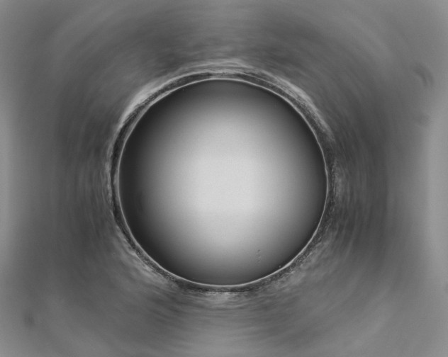 X0000112901176200908211509