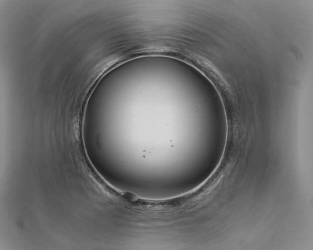 X0000112901177200908211509