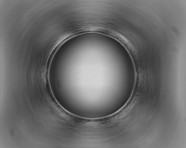 X0000112901178200908211509