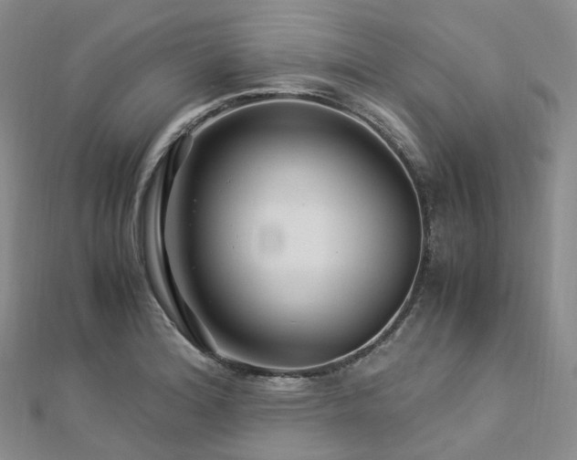 X0000112901180200908211509
