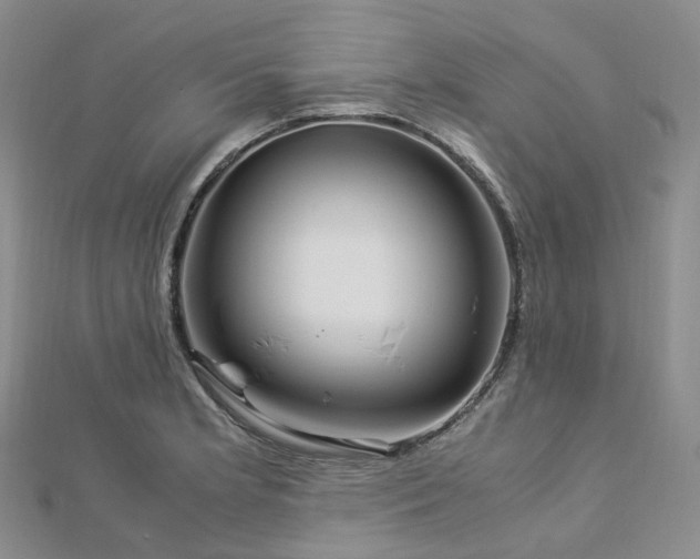 X0000112901181200908211509