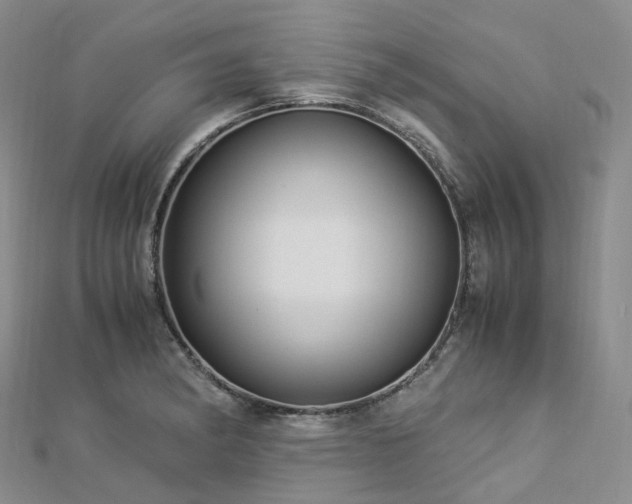 X0000112901182200908211509