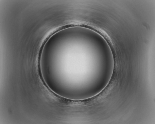 X0000112901183200908211509