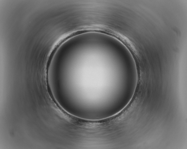 X0000112901184200908211509