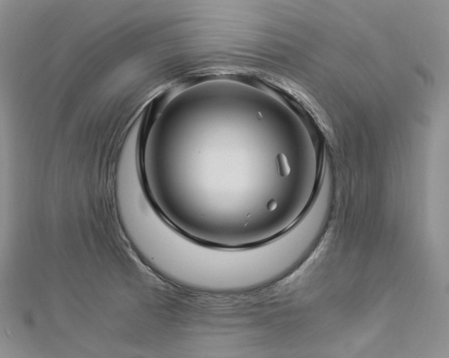 X0000112901185200908211509