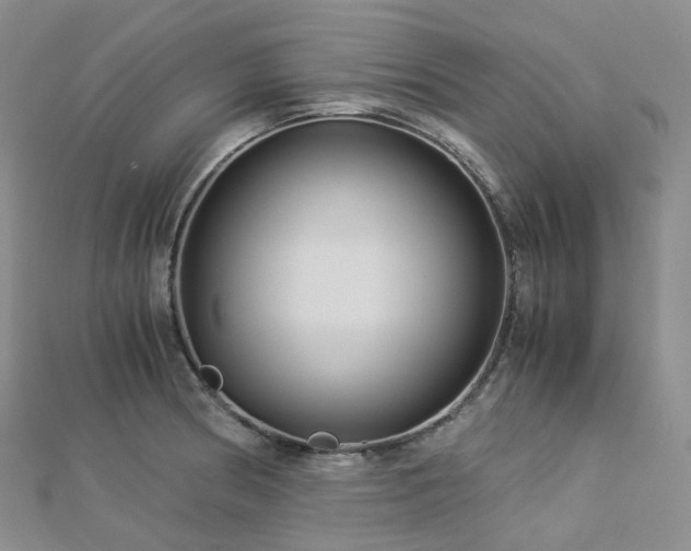 X0000112901186200908211509