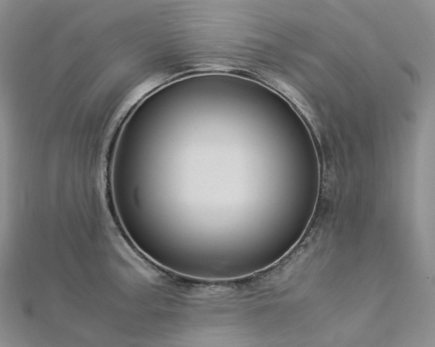 X0000112901187200908211509