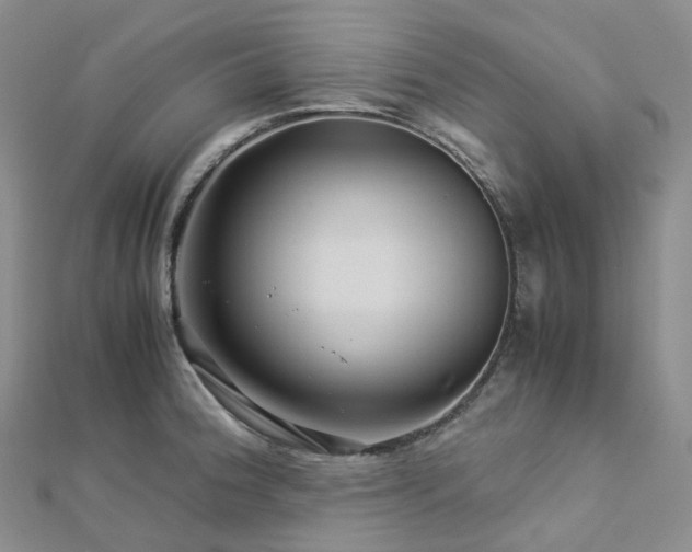X0000112901188200908211509