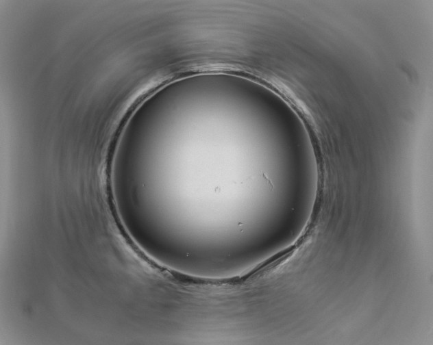 X0000112901189200908211509