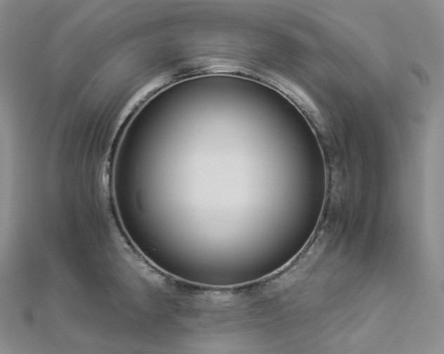 X0000112901190200908211509